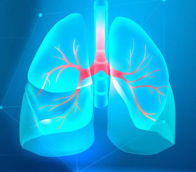 Pulmonary Function Test (Spirometer) Services